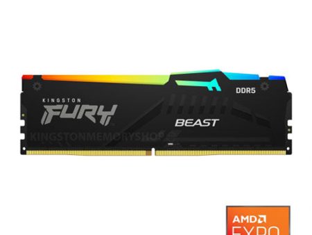 Kingston Fury Beast RGB 16GB DDR5 5600MHz CL36 KF556C36BBEA-16 Online